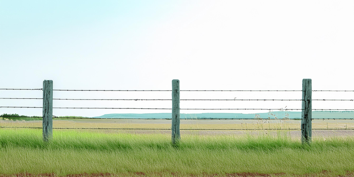 How High Does My Electric Fence Need To Be?